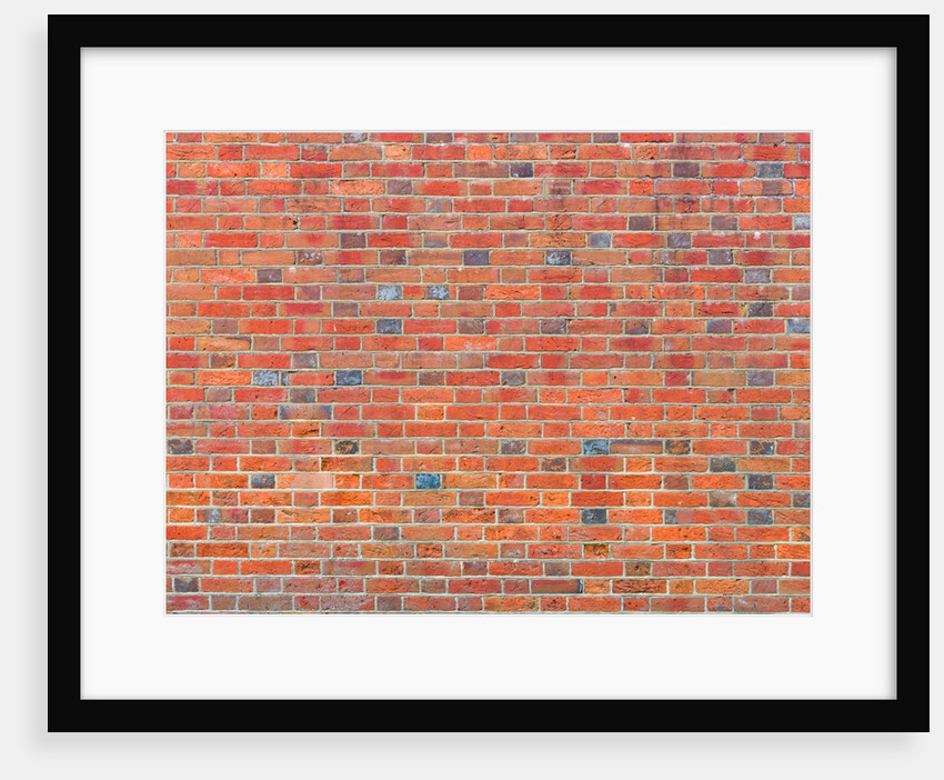 Brick wall by Assaf Frank